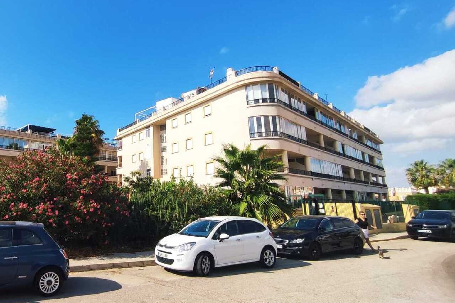 Resale - Apartment -
Playa Flamenca - Play Flamenca