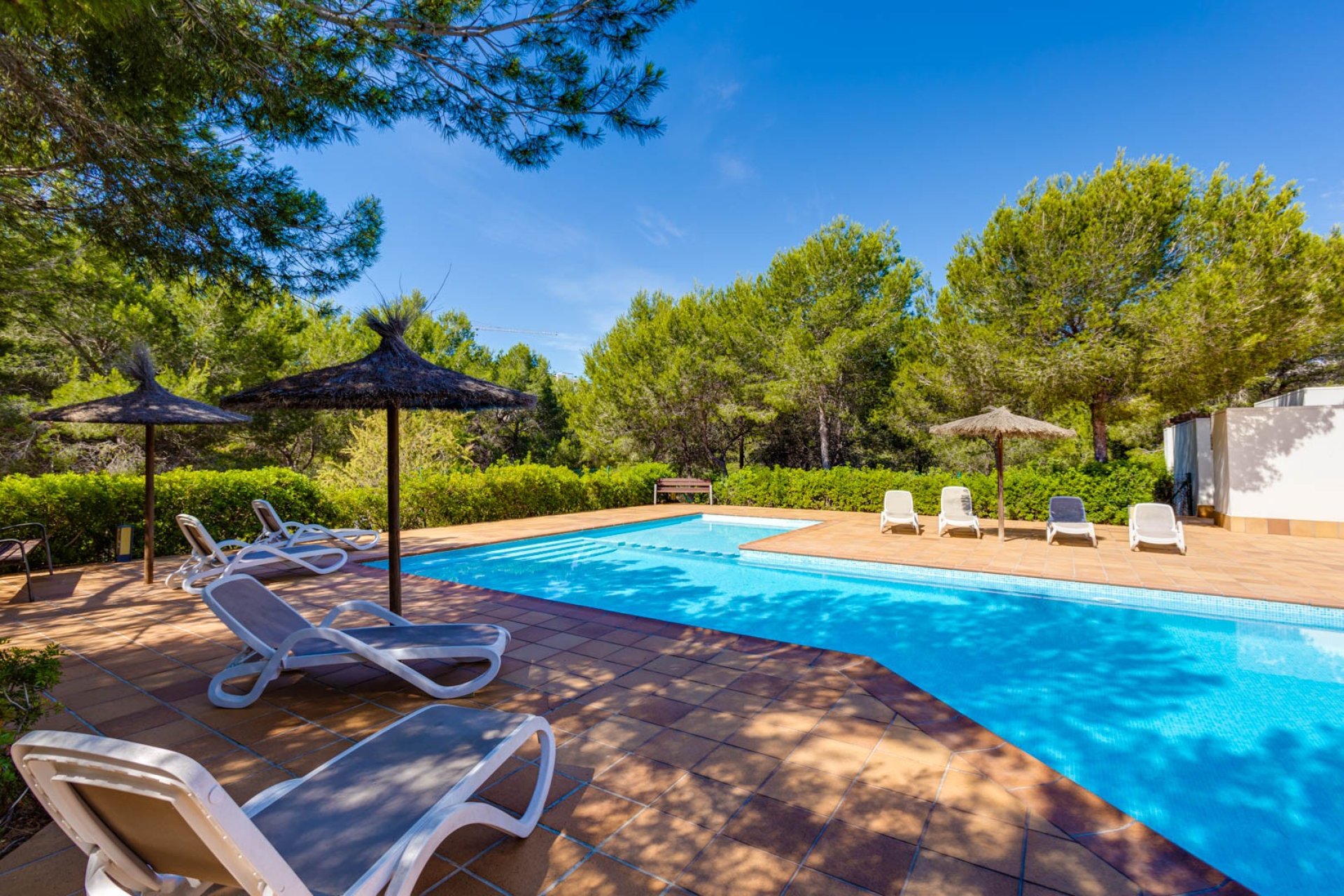 Resale - Apartment -
San Miguel de Salinas