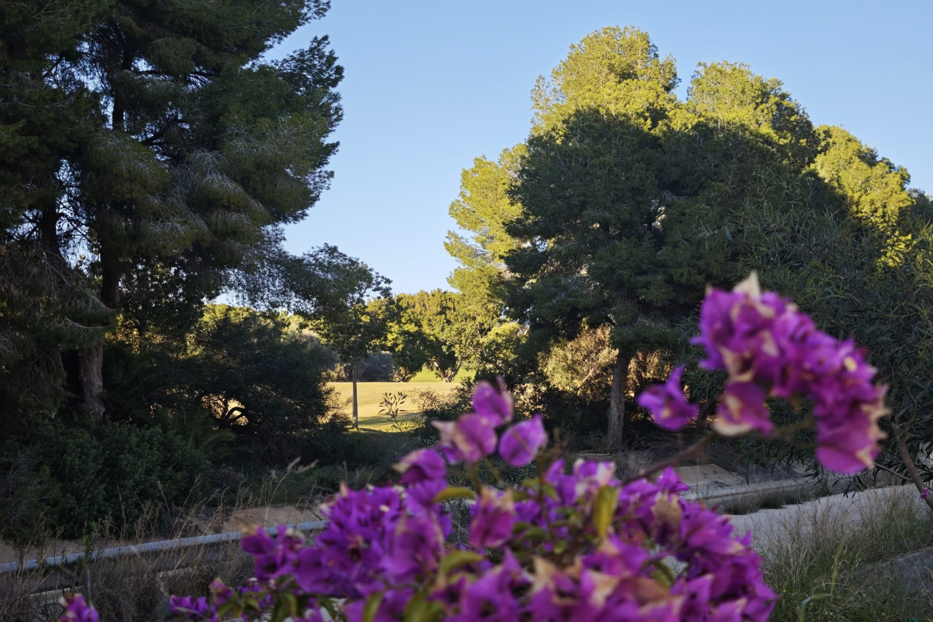 Resale - Apartment -
Villamartín - Las Ramblas