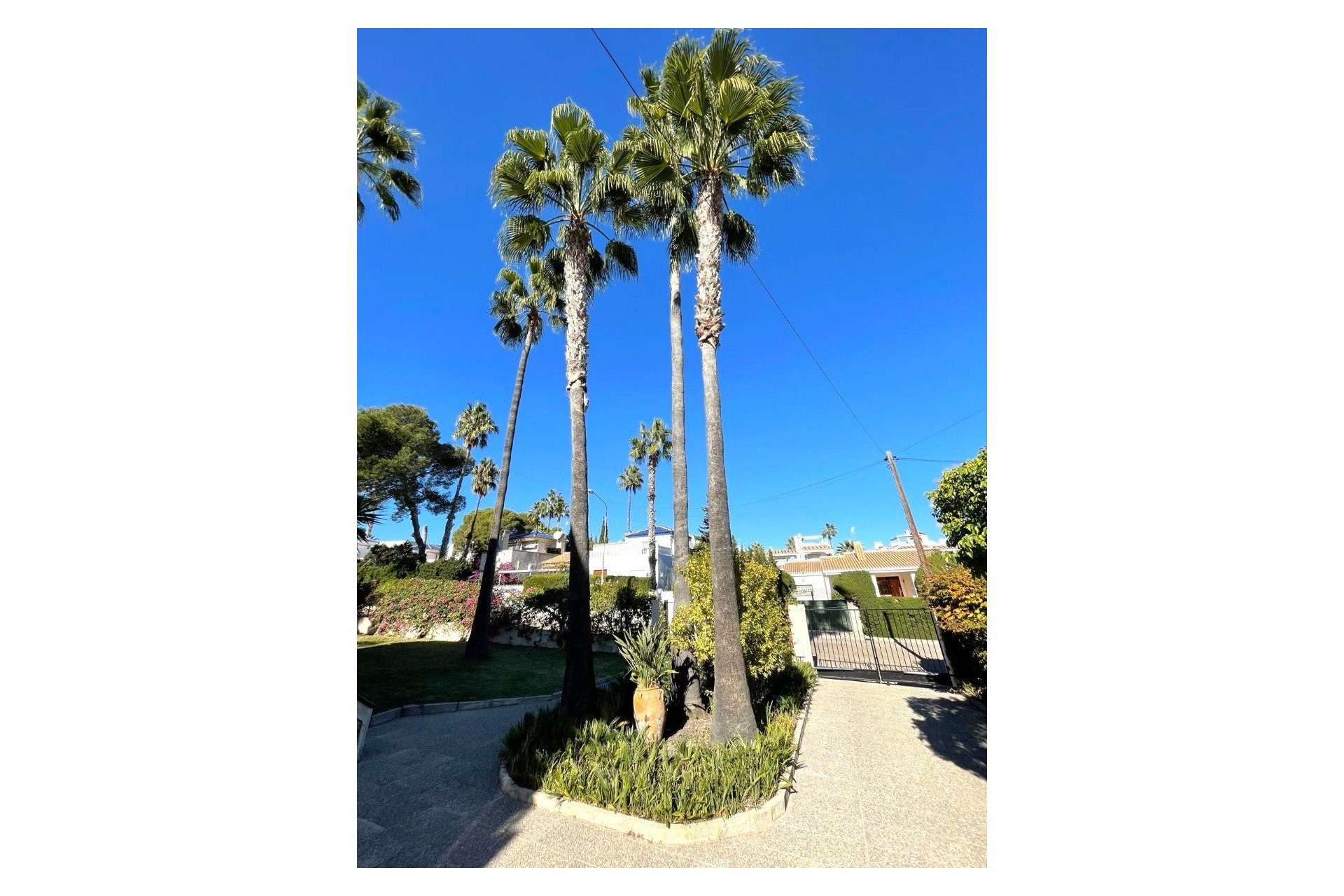 Resale - Detached Villa -
Villamartin