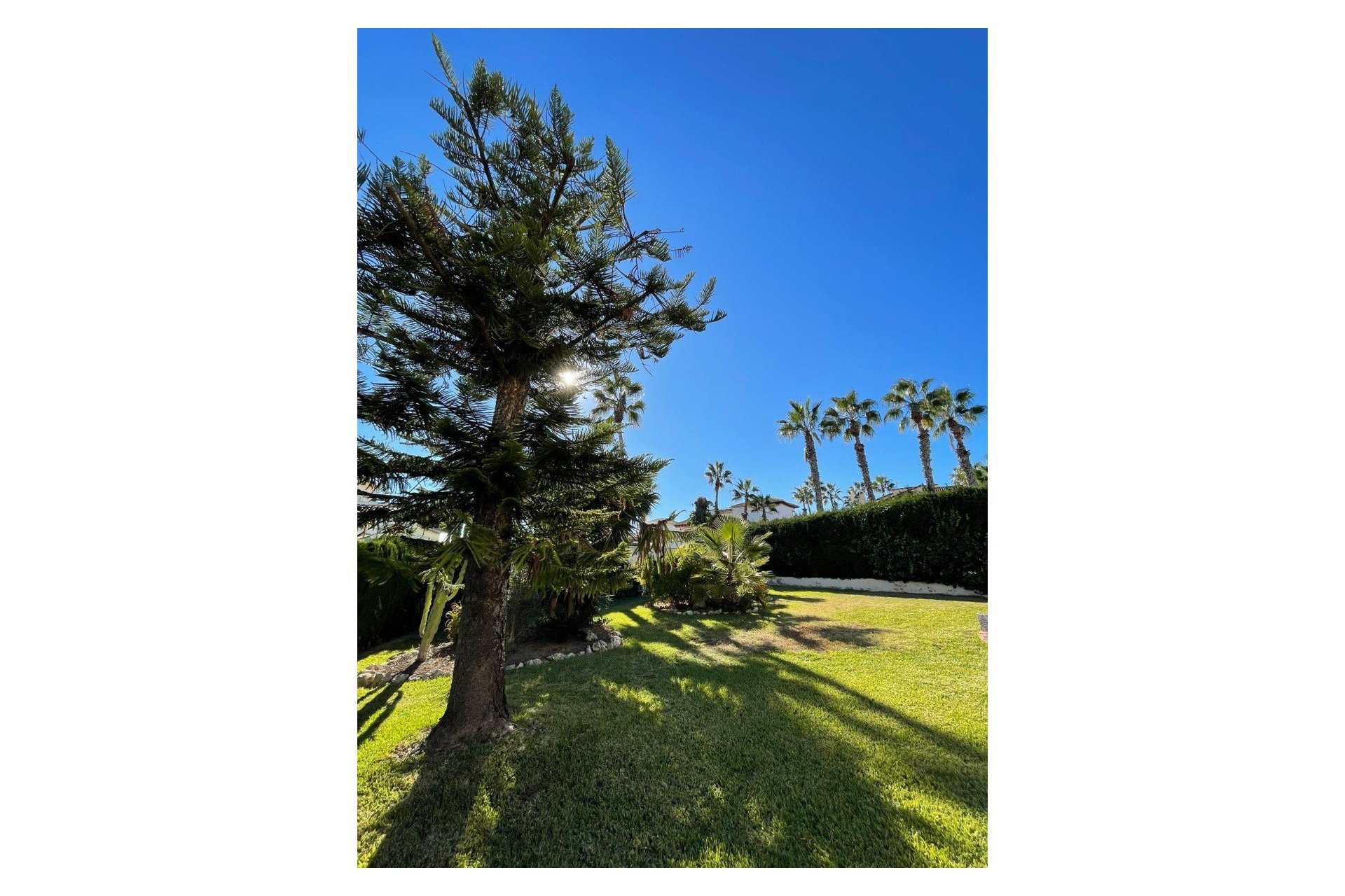 Resale - Detached Villa -
Villamartin