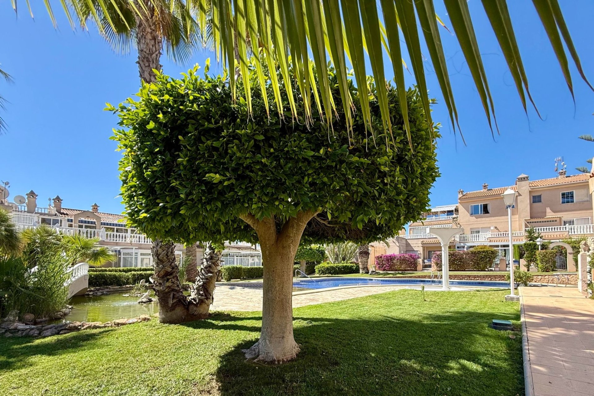 Resale - Duplex -
Orihuela Costa - Playa Flamenca