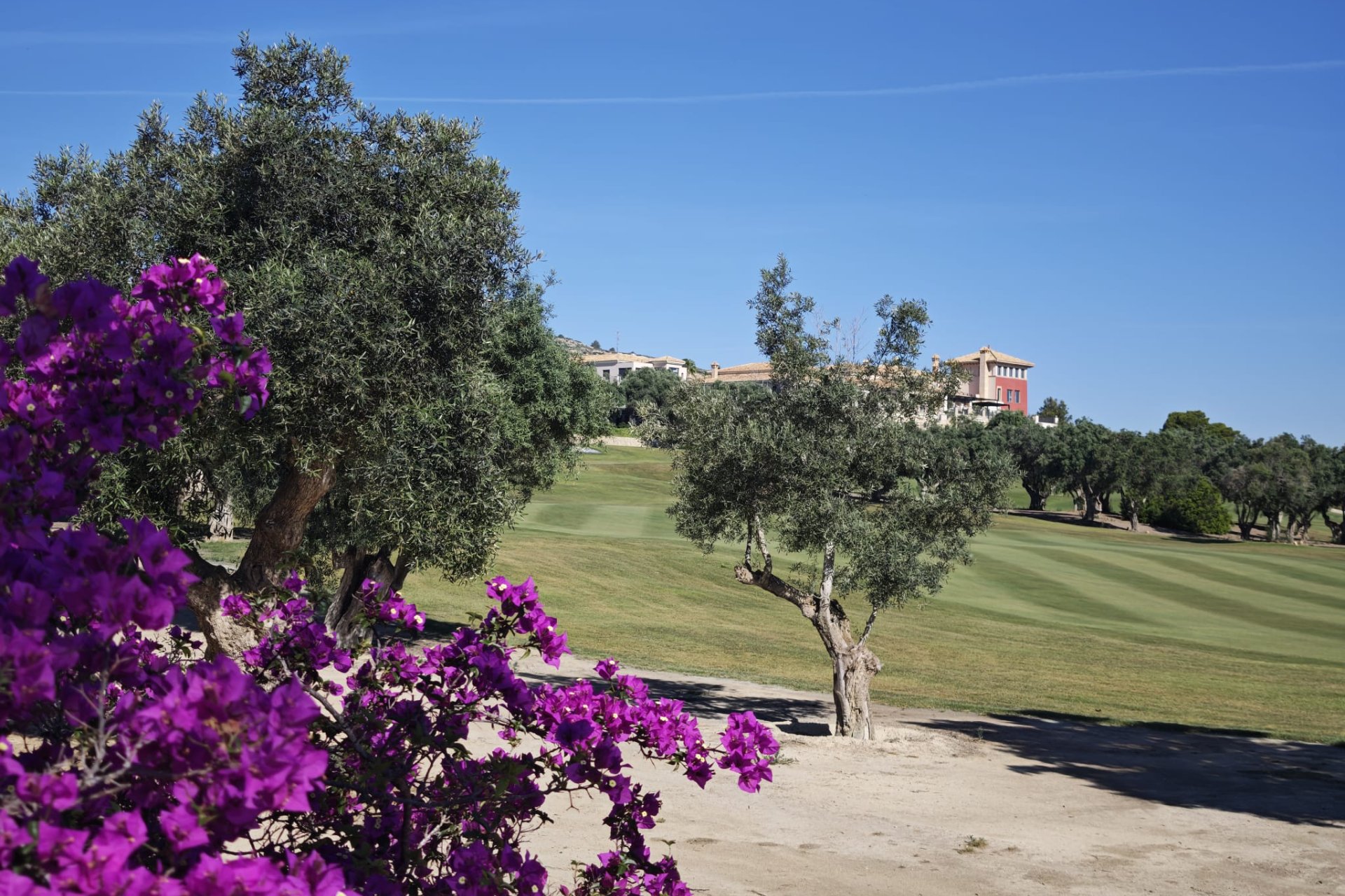 Resale - Villa -
Algorfa - La Finca Golf