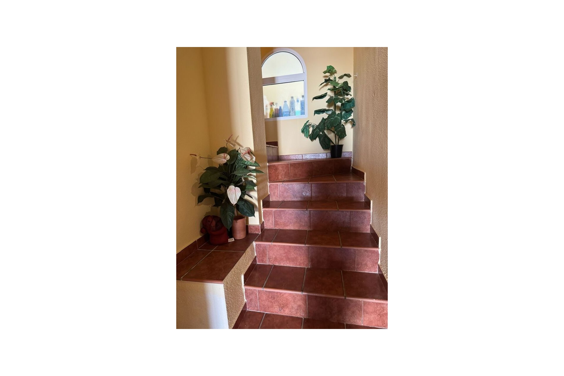 Resale - Villa -
Playa Flamenca - Play Flamenca