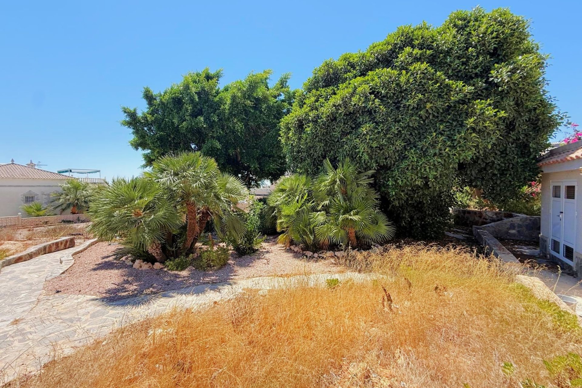 Resale - Villa -
San Miguel de Salinas - Blue Lagoon