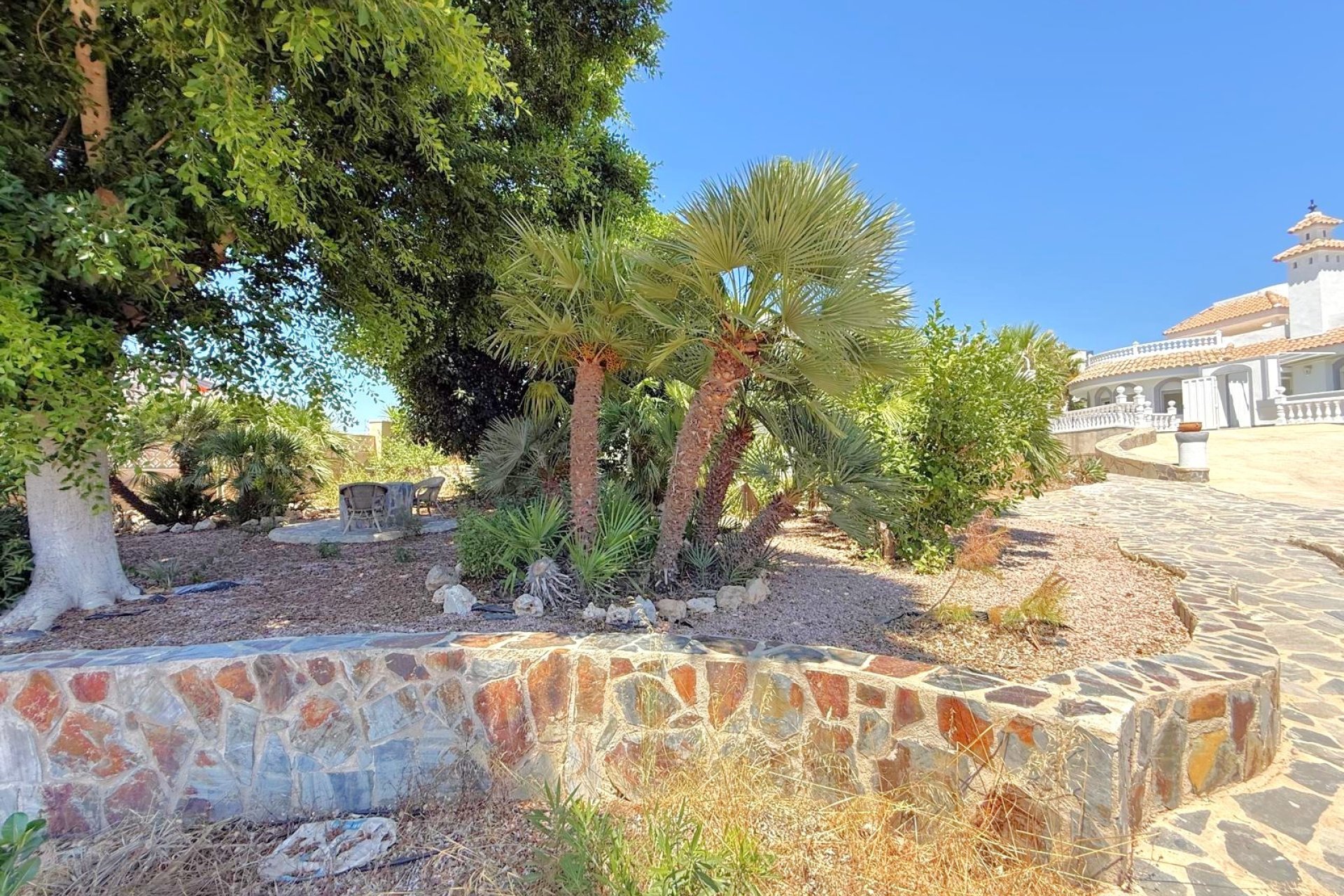 Resale - Villa -
San Miguel de Salinas - Blue Lagoon