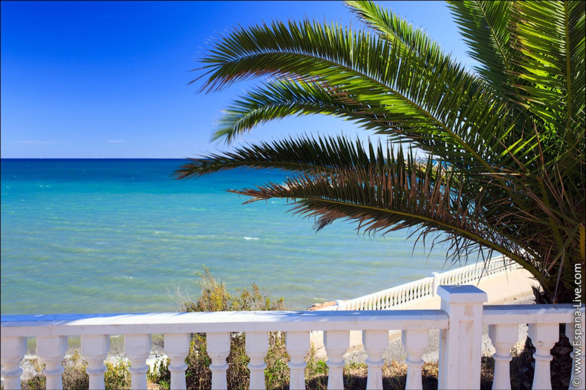 Resale - Villa -
Torre de la Horadada