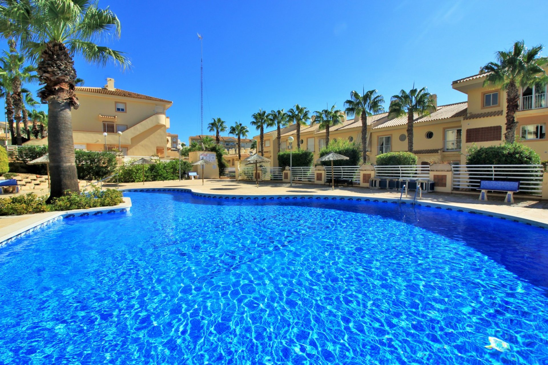 Reventa - Apartamento -
Cabo Roig