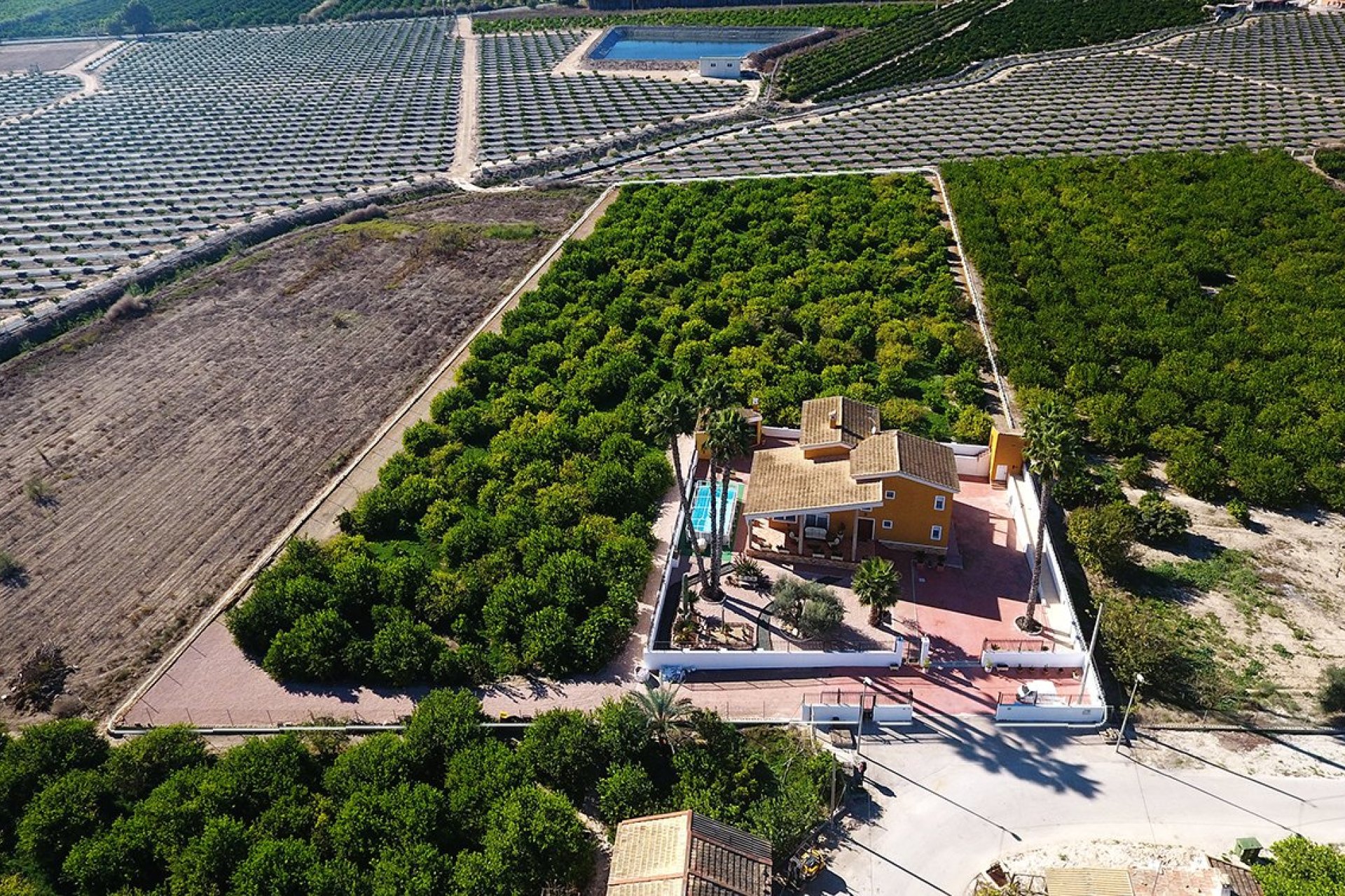 Reventa - Finca -
Orihuela Costa - Orihuela