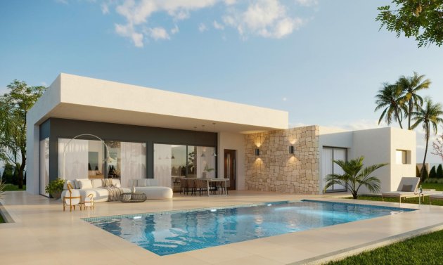Villa - Obra nueva - Aspe - Poligono 19