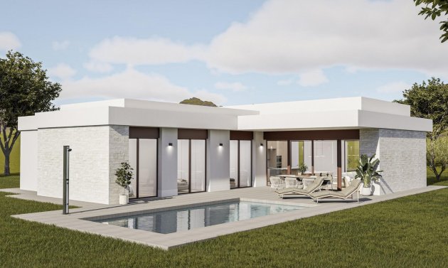 Villa - Obra nueva - Pinoso - Lel