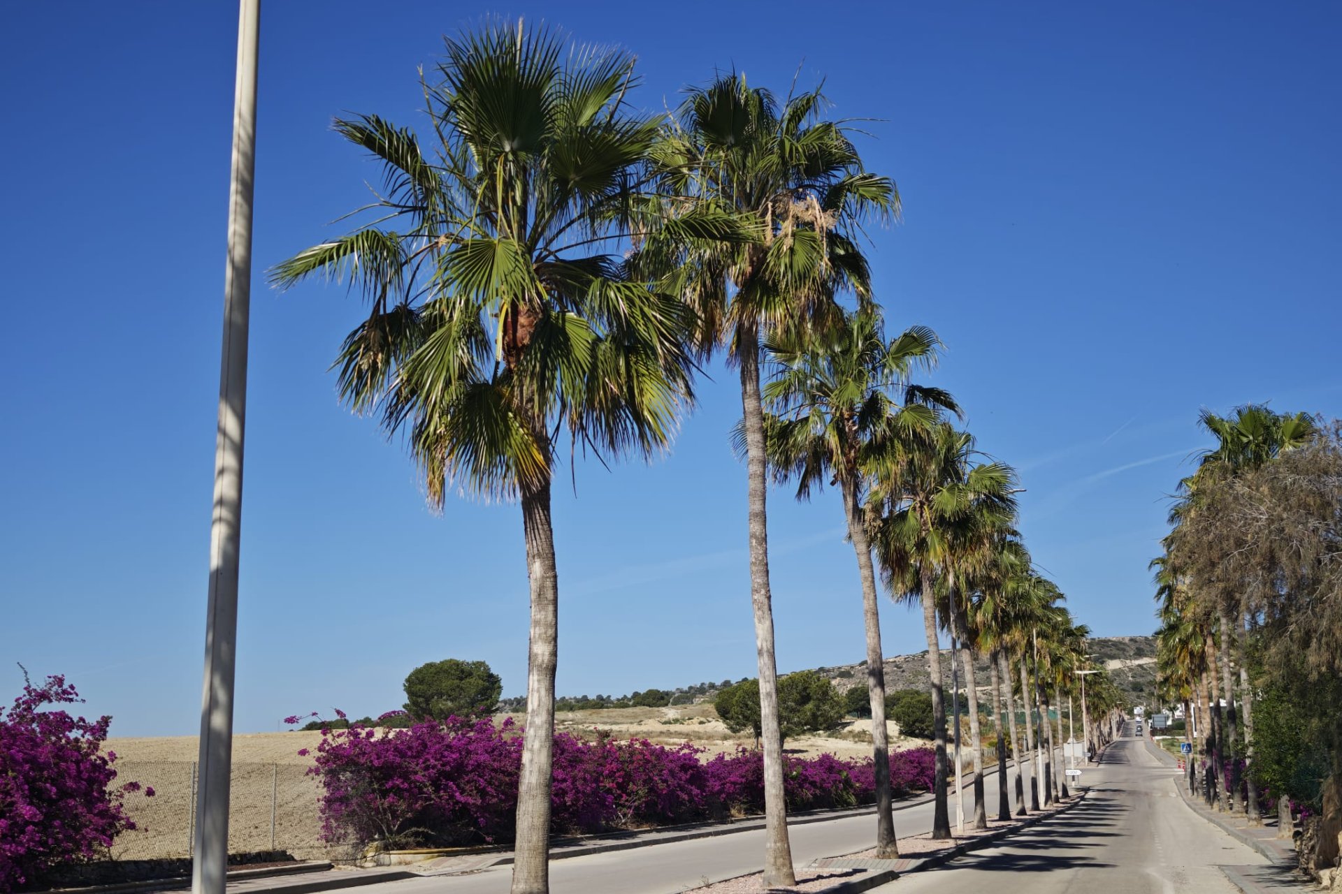Wiederverkauf - Villa -
Algorfa - La Finca Golf
