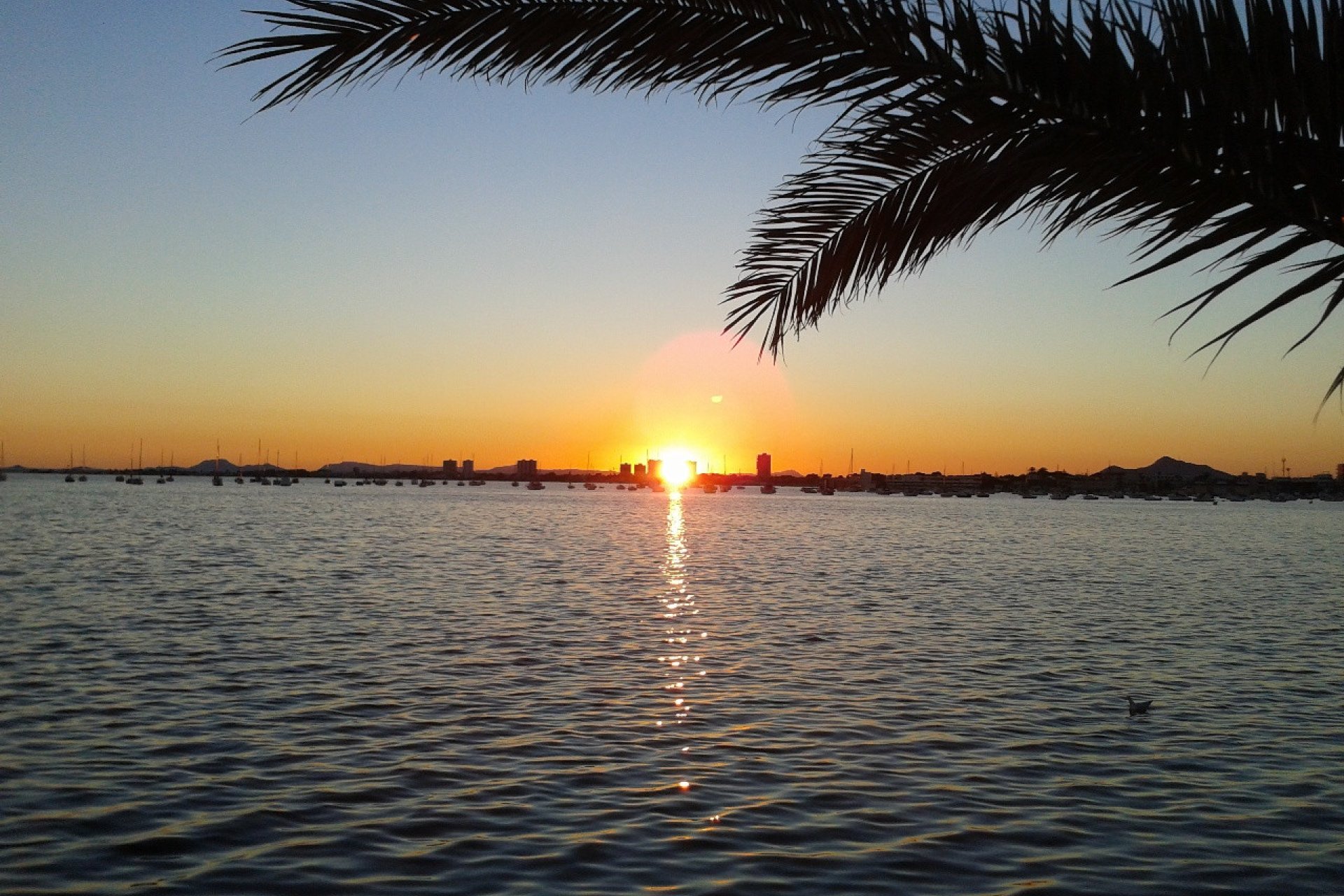 Wiederverkauf - Villa -
Torre de la Horadada