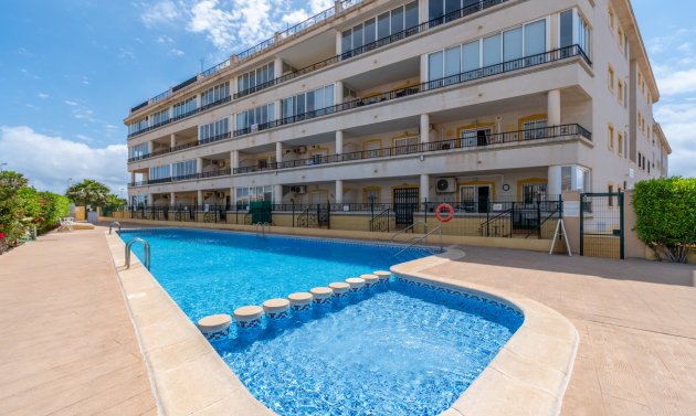 Wohnung - Wiederverkauf - Playa Flamenca - Playa Flamenca