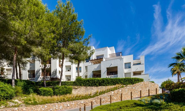 Wohnung - Wiederverkauf - San Miguel de Salinas - San Miguel de Salinas