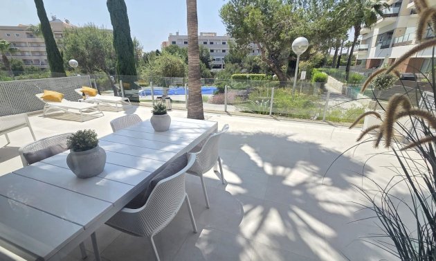 Wohnung - Wiederverkauf - Villamartín - Los Dolses