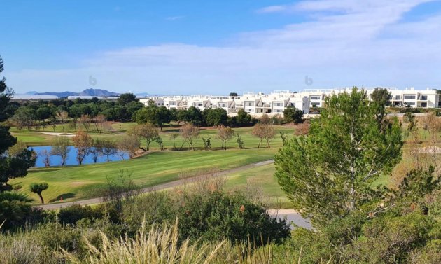 New Build - Villa -
Pilar de la Horadada - Lo Romero Golf