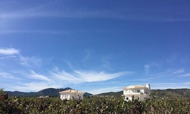 New Build - Villa -
Pinoso - Camino Del Prado