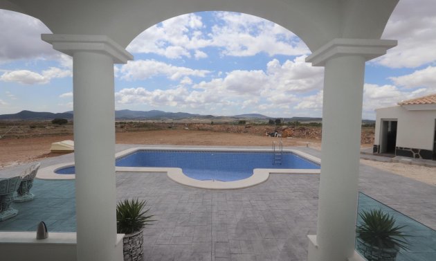 New Build - Villa -
Pinoso - Camino Del Prado