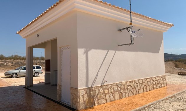 New Build - Villa -
Pinoso - Camino Del Prado