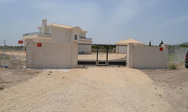 New Build - Villa -
Pinoso - Camino Del Prado