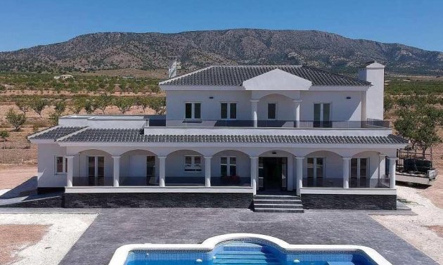New Build - Villa -
Pinoso - Camino Del Prado