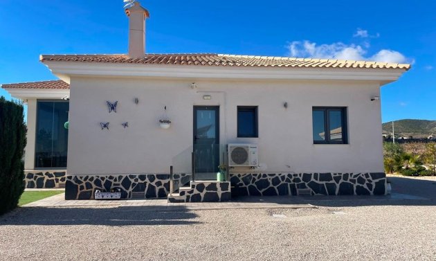 New Build - Villa -
Pinoso - Camino Del Prado