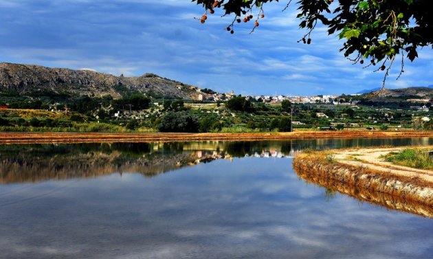 New Build - Villa -
Calasparra - Coto Riñales