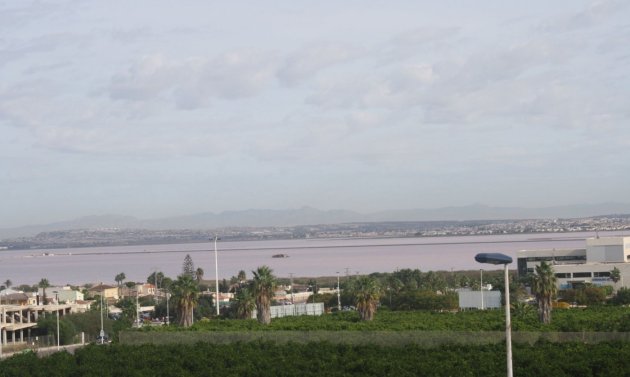 New Build - Townhouse -
Torrevieja - Los Altos