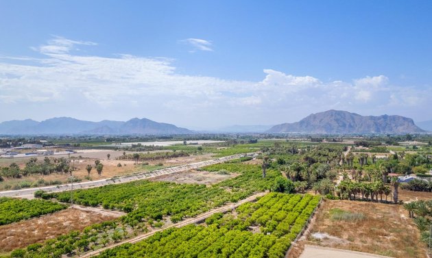 Obra nueva - Apartamento -
Jacarilla - pueblo
