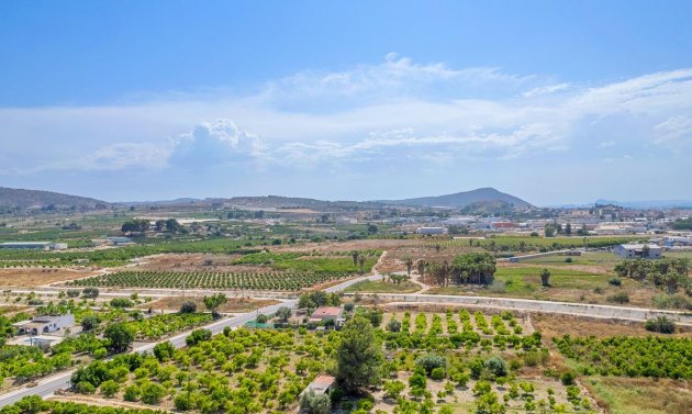 Obra nueva - Apartamento -
Jacarilla - pueblo