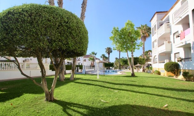 Long Term Rental - Apartment -
Orihuela Costa - Villamartín