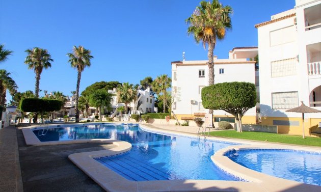 Long Term Rental - Apartment -
Orihuela Costa - Villamartín