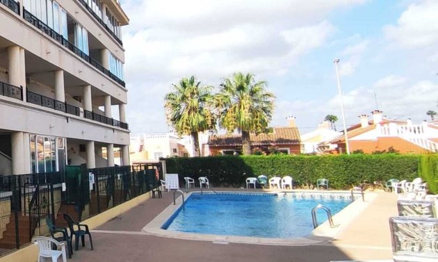 Resale - Apartment -
Playa Flamenca - Play Flamenca