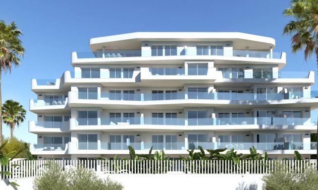 New Build - Apartment -
Pilar de la Horadada - Mil Palmeras