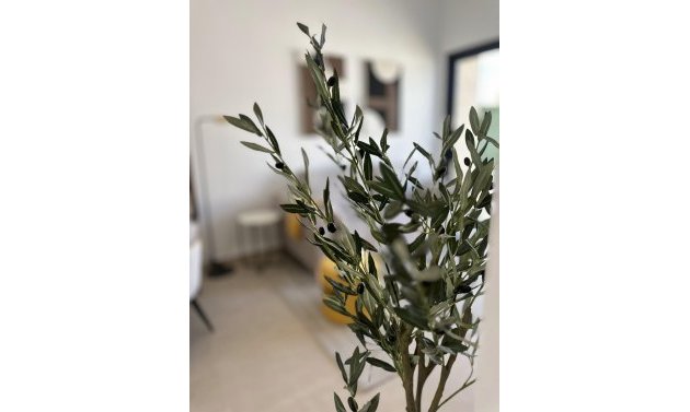 Obra nueva - Bungalow -
San Fulgencio - Pueblo