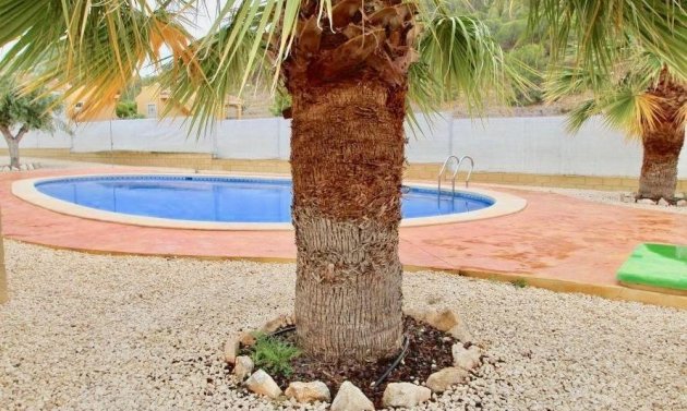 New Build - Detached Villa -
La Romana - Villas de la Romana