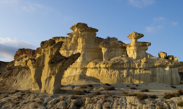 Obra nueva - Bungalow -
Fuente Alamo - La Pinilla