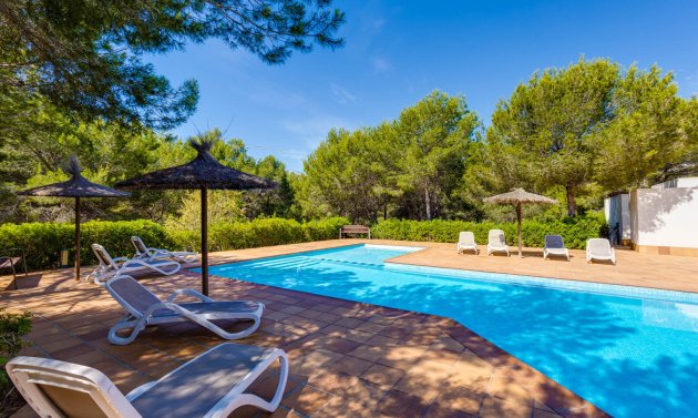 Resale - Apartment -
San Miguel de Salinas