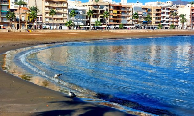 Obra nueva - Villa -
Fuente Alamo - La Pinilla