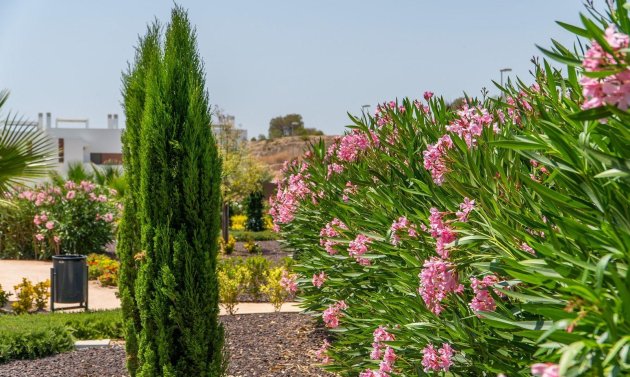 Obra nueva - Bungalow -
Orihuela Costa - Vistabella Golf