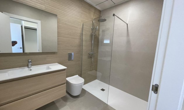 Obra nueva - Detached Villa -
Almoradí - Heredades