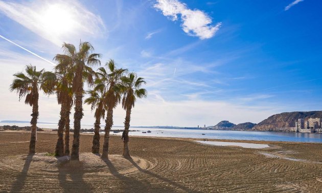 Obra nueva - Detached Villa -
Els Poblets - Partida Barranquets