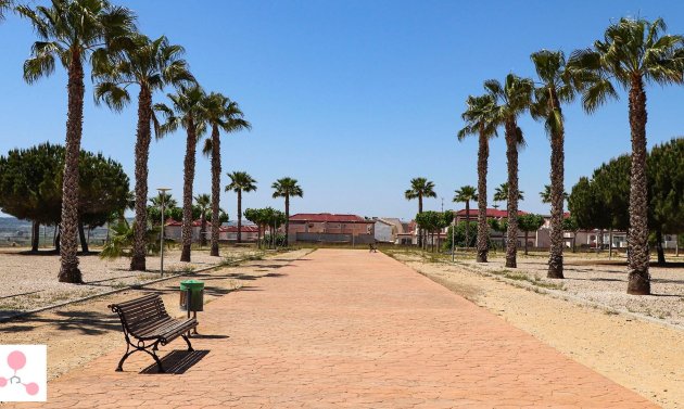 Obra nueva - Detached Villa -
San Fulgencio - La Escuera