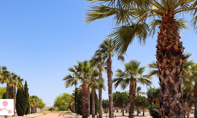 Obra nueva - Detached Villa -
San Fulgencio - La Escuera