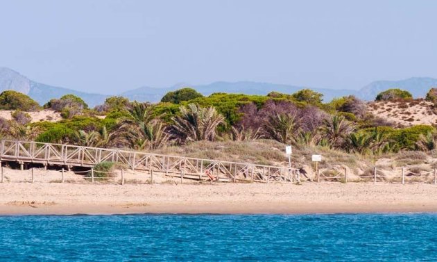 Nybyggnation - Lägenhet -
Guardamar del Segura - Pueblo