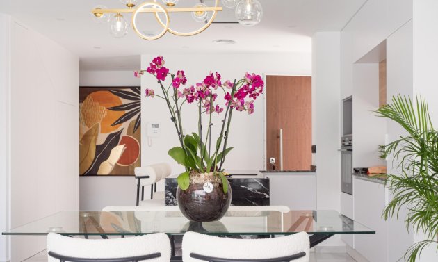 New Build - Villa -
San Pedro del Pinatar - San Pedro Del Pinatar