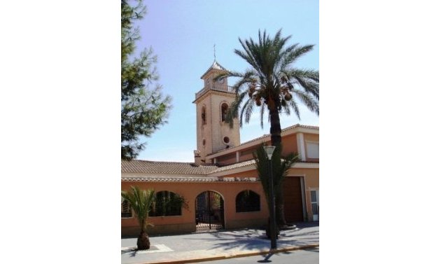 Obra nueva - Detached Villa -
Los Montesinos - La Herrada