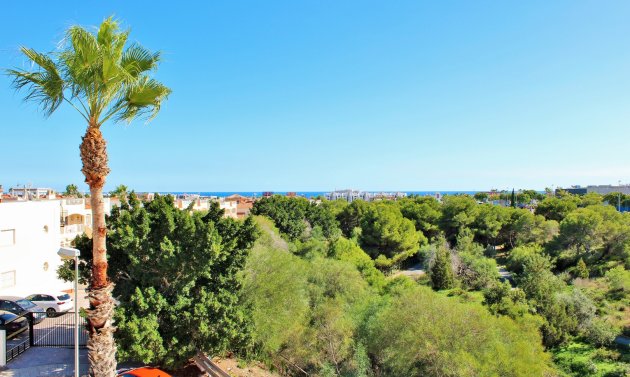 Wiederverkauf - Villa -
Playa Flamenca