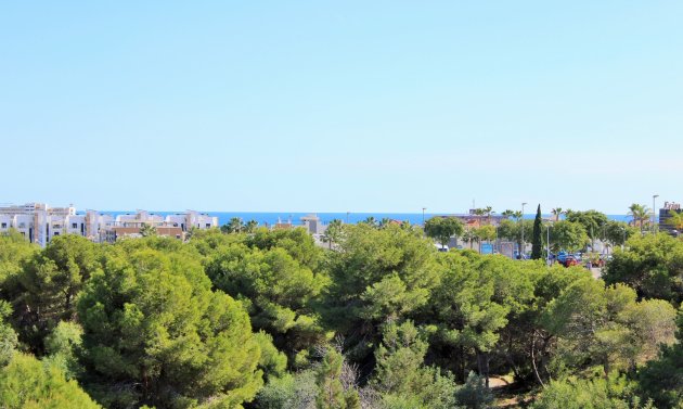 Wiederverkauf - Villa -
Playa Flamenca